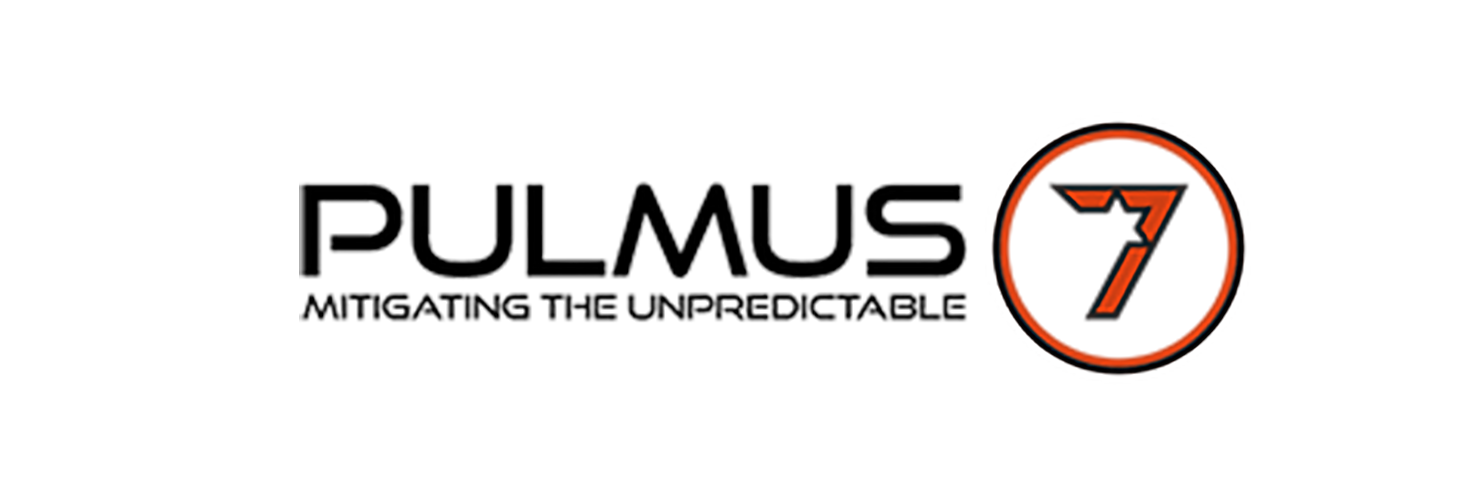 Logo Wordpress - Google MErchant Logo